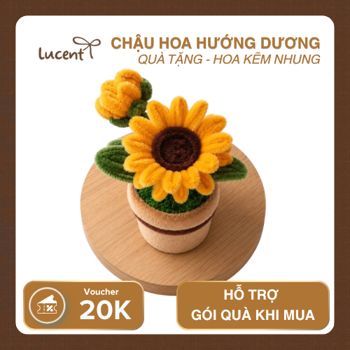 CHẬU HOA HƯỚNG DƯƠNG LUCENT - Ảnh 2
