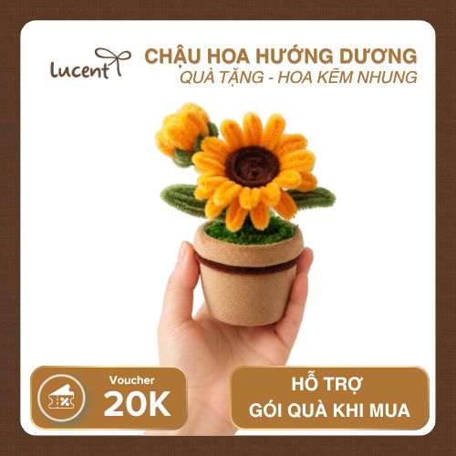 CHẬU HOA HƯỚNG DƯƠNG LUCENT - Ảnh 3