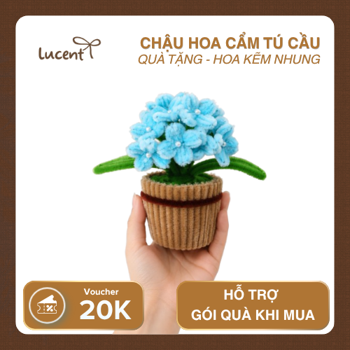 CHẬU CẨM TÚ CẦU LUCENT - Ảnh 4