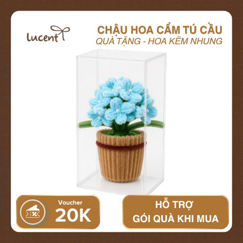 CHẬU CẨM TÚ CẦU LUCENT - Ảnh 5