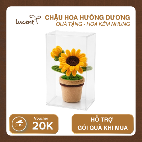 CHẬU HOA HƯỚNG DƯƠNG LUCENT - Ảnh 4